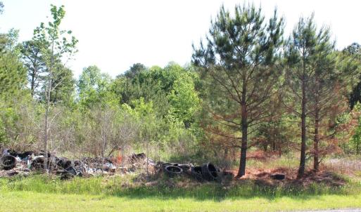 Photo #11 of 241 Joe Phelps Road, Aulander, NC 1.0 acres