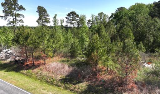 Photo #6 of 241 Joe Phelps Road, Aulander, NC 1.0 acres