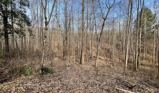 Photo #13 of Off Yorkshire Drive, Sandy Level, VA 20.0 acres