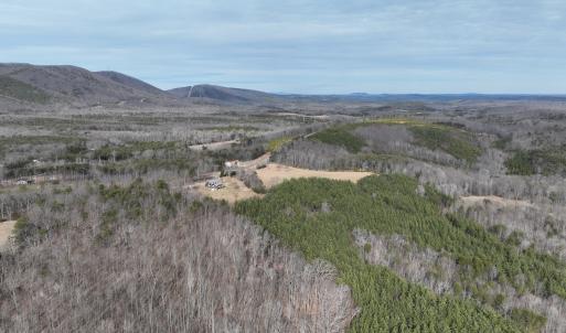 Photo #14 of Off Yorkshire Drive, Sandy Level, VA 20.0 acres
