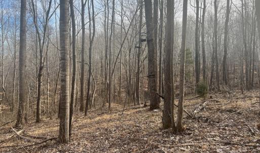 Photo #16 of Off Yorkshire Drive, Sandy Level, VA 20.0 acres