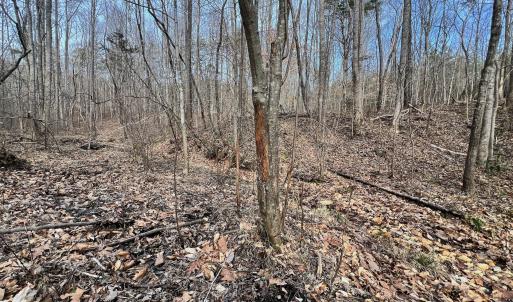 Photo #3 of Off Yorkshire Drive, Sandy Level, VA 20.0 acres