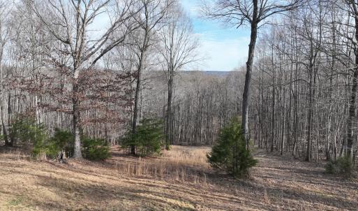 Photo #5 of Off Yorkshire Drive, Sandy Level, VA 20.0 acres