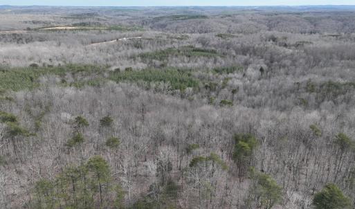 Photo #7 of Off Yorkshire Drive, Sandy Level, VA 20.0 acres