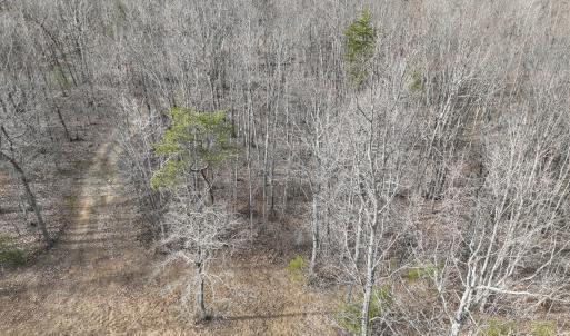 Photo #9 of Off Yorkshire Drive, Sandy Level, VA 20.0 acres