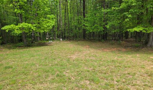 Photo #22 of Off Yorkshire Drive, Sandy Level, VA 20.0 acres