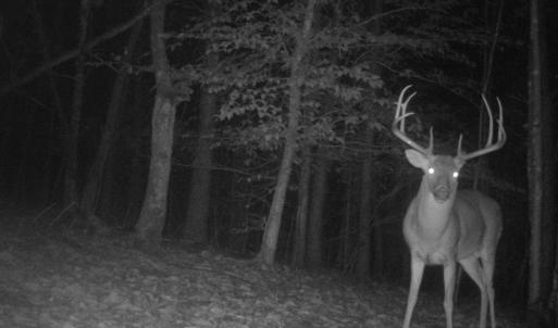 Photo #32 of Off Yorkshire Drive, Sandy Level, VA 20.0 acres