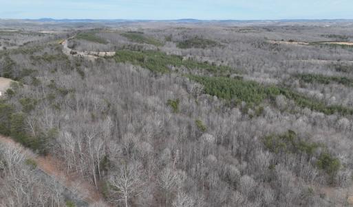 Photo #37 of Off Yorkshire Drive, Sandy Level, VA 20.0 acres