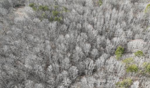 Photo #43 of Off Yorkshire Drive, Sandy Level, VA 20.0 acres