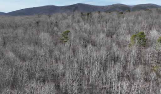 Photo #45 of Off Yorkshire Drive, Sandy Level, VA 20.0 acres