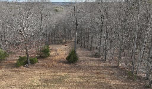 Photo #47 of Off Yorkshire Drive, Sandy Level, VA 20.0 acres