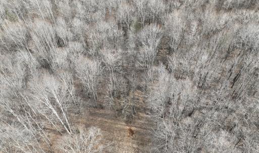 Photo #48 of Off Yorkshire Drive, Sandy Level, VA 20.0 acres