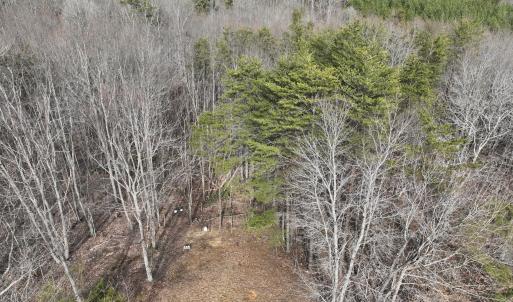 Photo #49 of Off Yorkshire Drive, Sandy Level, VA 20.0 acres
