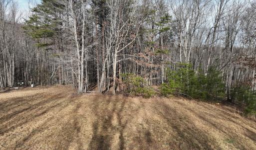 Photo #55 of Off Yorkshire Drive, Sandy Level, VA 20.0 acres