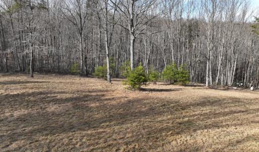 Photo #56 of Off Yorkshire Drive, Sandy Level, VA 20.0 acres
