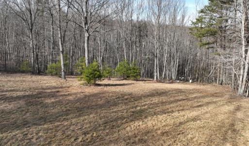 Photo #58 of Off Yorkshire Drive, Sandy Level, VA 20.0 acres