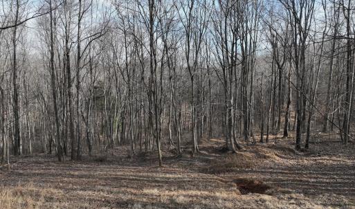 Photo #59 of Off Yorkshire Drive, Sandy Level, VA 20.0 acres