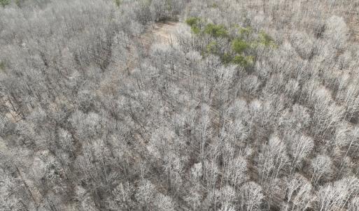 Photo #41 of Off Yorkshire Drive, Sandy Level, VA 20.0 acres