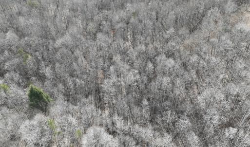 Photo #42 of Off Yorkshire Drive, Sandy Level, VA 20.0 acres