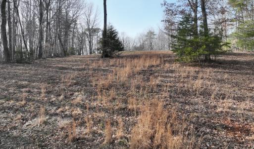 Photo #61 of Off Yorkshire Drive, Sandy Level, VA 20.0 acres