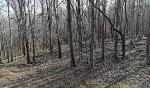 Photo #64 of Off Yorkshire Drive, Sandy Level, VA 20.0 acres
