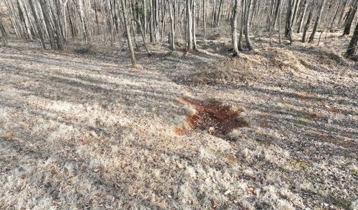 Photo #65 of Off Yorkshire Drive, Sandy Level, VA 20.0 acres