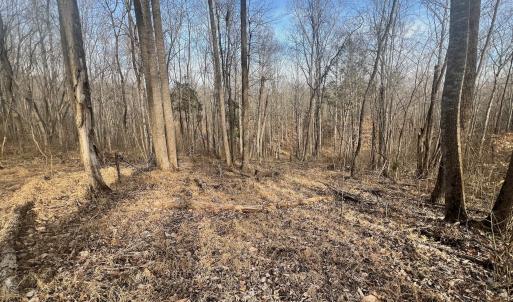 Photo #66 of Off Yorkshire Drive, Sandy Level, VA 20.0 acres