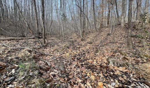 Photo #67 of Off Yorkshire Drive, Sandy Level, VA 20.0 acres