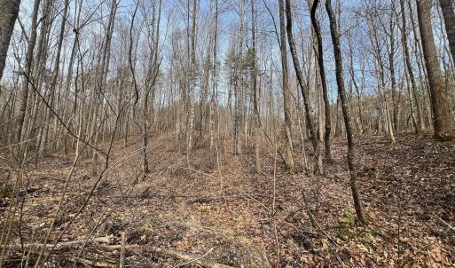 Photo #68 of Off Yorkshire Drive, Sandy Level, VA 20.0 acres