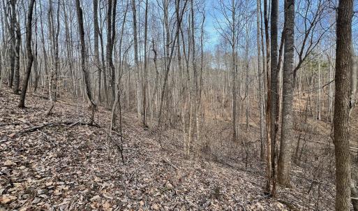 Photo #69 of Off Yorkshire Drive, Sandy Level, VA 20.0 acres