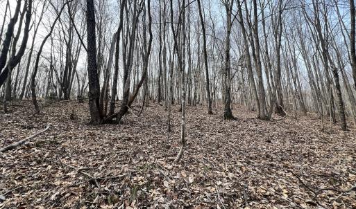 Photo #70 of Off Yorkshire Drive, Sandy Level, VA 20.0 acres
