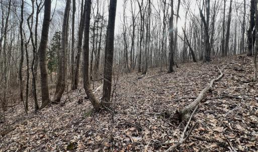 Photo #71 of Off Yorkshire Drive, Sandy Level, VA 20.0 acres
