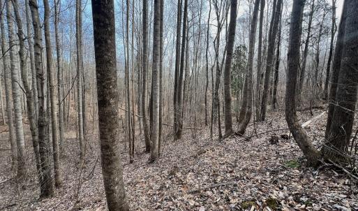 Photo #72 of Off Yorkshire Drive, Sandy Level, VA 20.0 acres