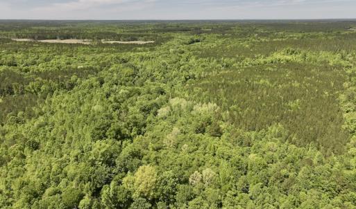 Photo #10 of Off Briston Brown Road, Littleton, NC 18.8 acres