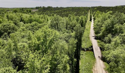 Photo #11 of Off Briston Brown Road, Littleton, NC 18.8 acres