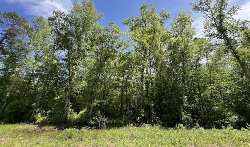 Photo #16 of Off Briston Brown Road, Littleton, NC 18.8 acres