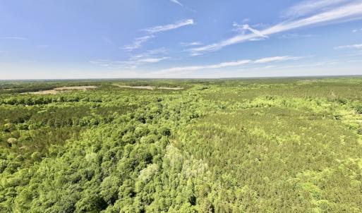 Photo #2 of Off Briston Brown Road, Littleton, NC 18.8 acres