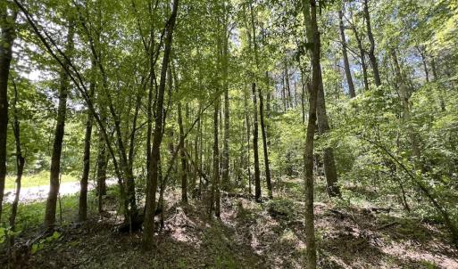 Photo #21 of Off Briston Brown Road, Littleton, NC 18.8 acres