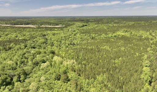 Photo #24 of Off Briston Brown Road, Littleton, NC 18.8 acres