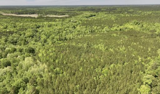 Photo #25 of Off Briston Brown Road, Littleton, NC 18.8 acres