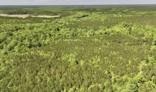 Photo #26 of Off Briston Brown Road, Littleton, NC 18.8 acres