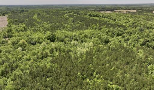 Photo #27 of Off Briston Brown Road, Littleton, NC 18.8 acres