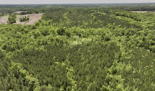 Photo #28 of Off Briston Brown Road, Littleton, NC 18.8 acres