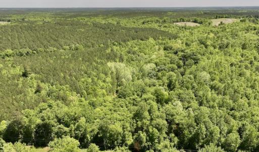 Photo #3 of Off Briston Brown Road, Littleton, NC 18.8 acres