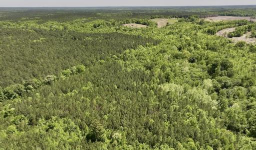 Photo #31 of Off Briston Brown Road, Littleton, NC 18.8 acres