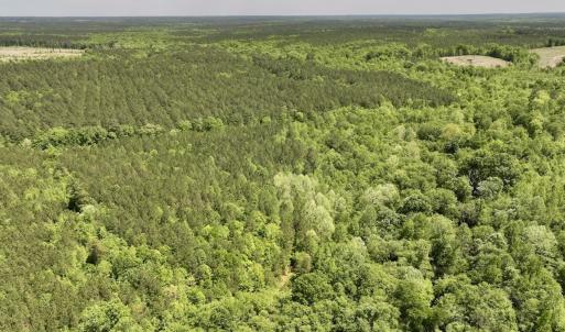 Photo #32 of Off Briston Brown Road, Littleton, NC 18.8 acres