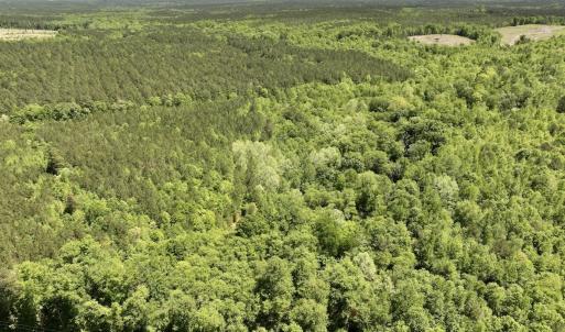 Photo #4 of Off Briston Brown Road, Littleton, NC 18.8 acres