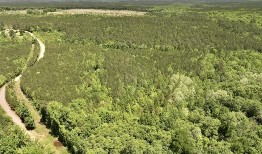Photo #5 of Off Briston Brown Road, Littleton, NC 18.8 acres