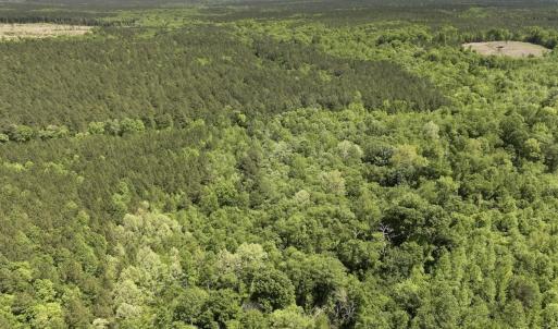 Photo #6 of Off Briston Brown Road, Littleton, NC 18.8 acres
