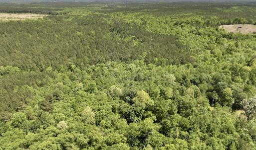 Photo #7 of Off Briston Brown Road, Littleton, NC 18.8 acres